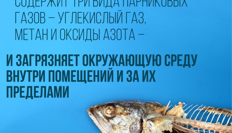 2021.05.24_ВОЗ_антитабак_3.3-03