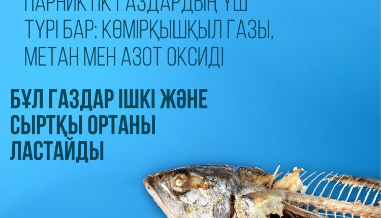 2021.05.25_ВОЗ_антитабак_3.3_kaz-03