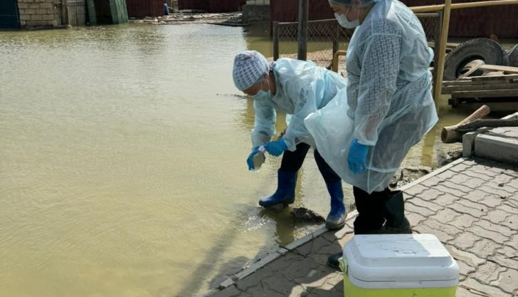 WhatsApp Image 2024-04-23 at 20.11.34