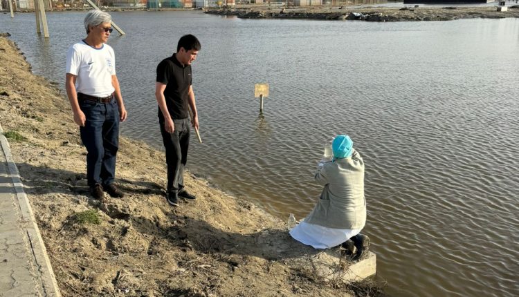 WhatsApp Image 2024-04-23 at 20.17.06