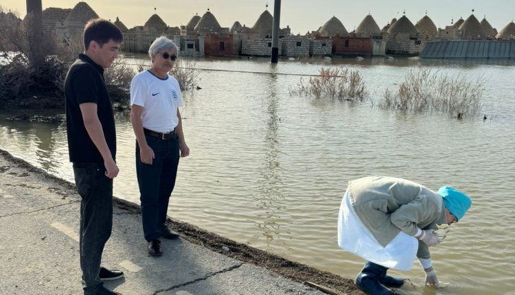 WhatsApp Image 2024-04-23 at 20.17.08