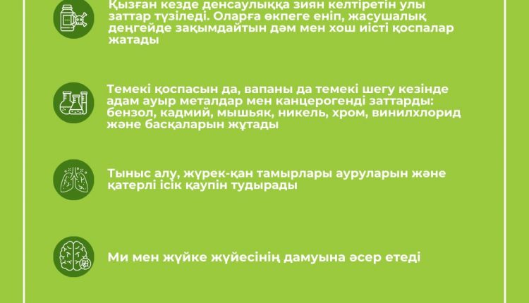 WhatsApp Image 2024-05-06 at 11.05.02