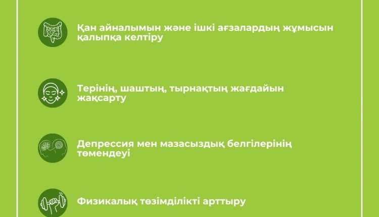 WhatsApp Image 2024-05-06 at 11.05.03